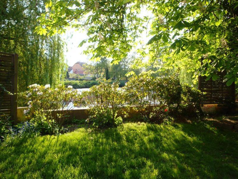 Maison D'Hotes Alsace - 4 Chambres D'Hote - Private Gaestezimmer Elsass - Private Guest Rooms Alsace Bischwiller Exterior photo